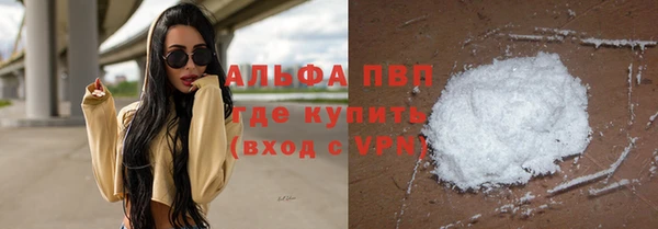 дживик Магас