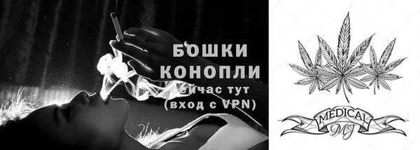 дживик Магас