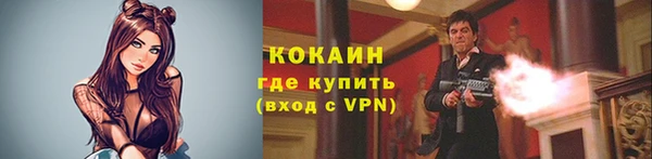 дживик Магас