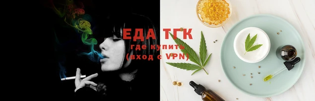 дживик Магас