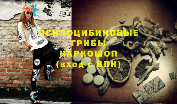 гашик Магадан