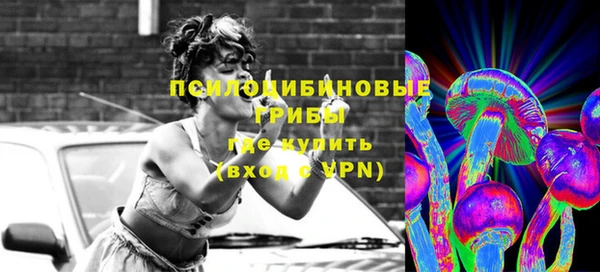 дживик Магас