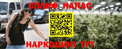 mdma Гатчина