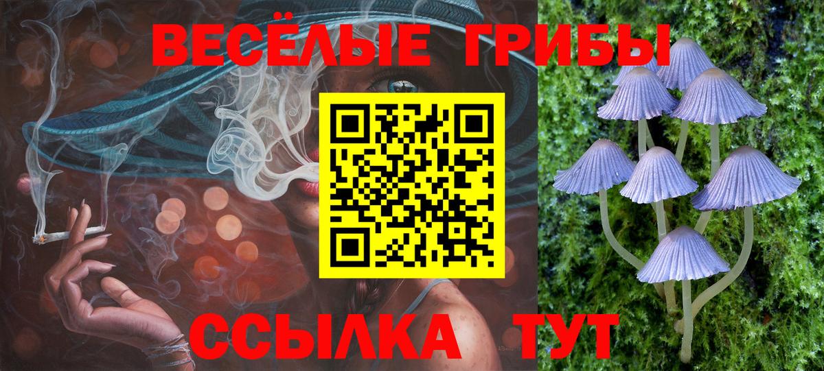 Брянск  Псилоцибиновые грибы мухоморы  Вход с VPN 