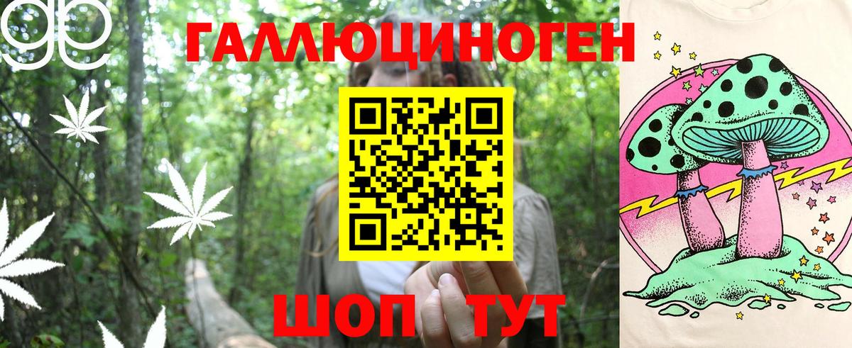 Псилоцибиновые грибы GOLDEN TEACHER  Брянск  Псилоцибиновые грибы мицелий 