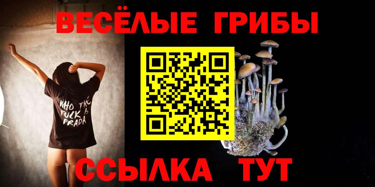 Псилоцибиновые грибы прущие грибы Брянск